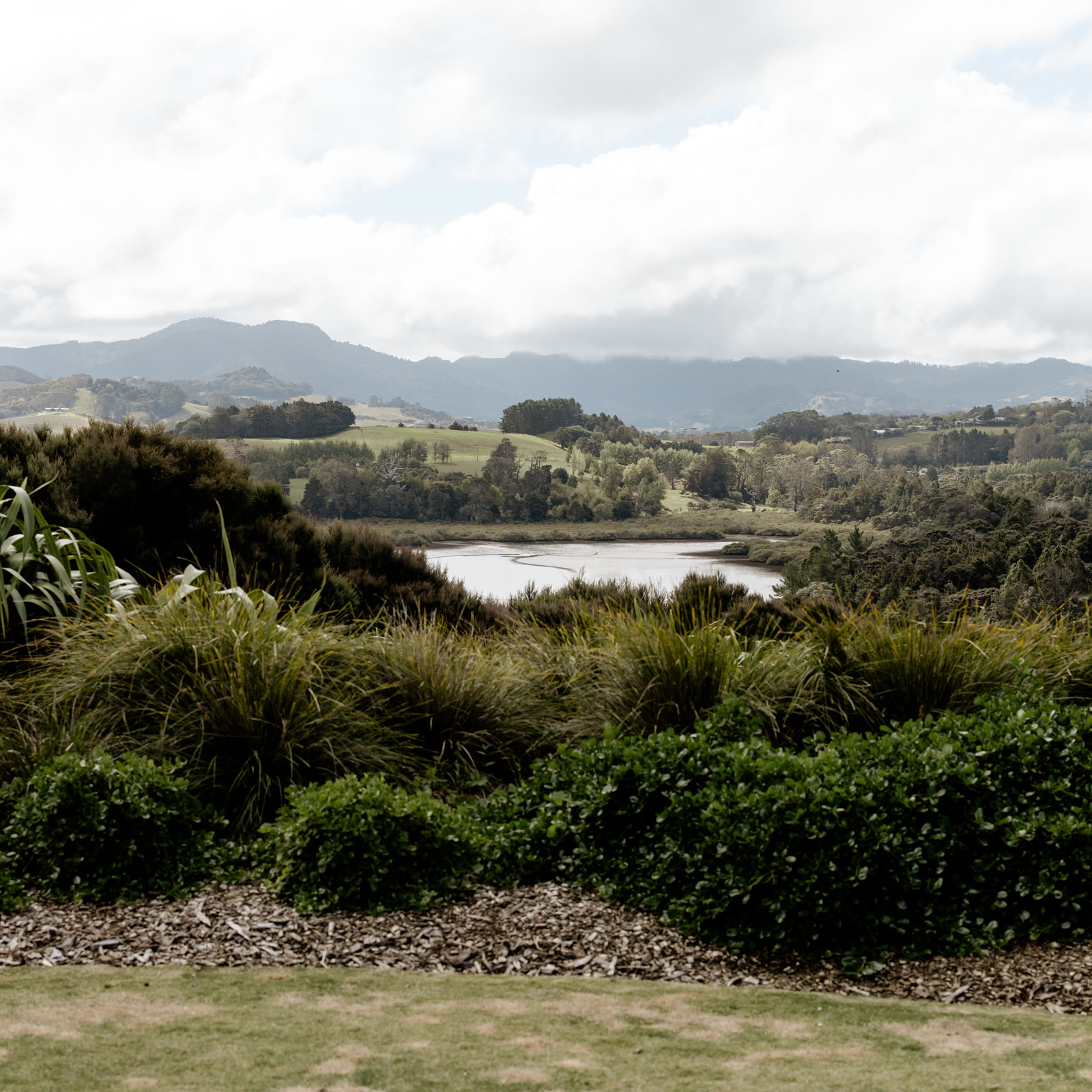 The view from the Boat House lawn at Bluestone Estate: tussock, flax, and native shrubs in the foreground, the estuary below, and farmland and bush-covered hills rolling to the ranges under a soft sky.