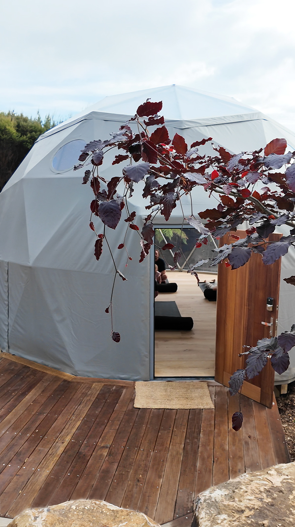 The yoga dome at Bluestone Main Estate from its timber deck, the timber door open to the mats inside, a copper beech leaning across the frame.