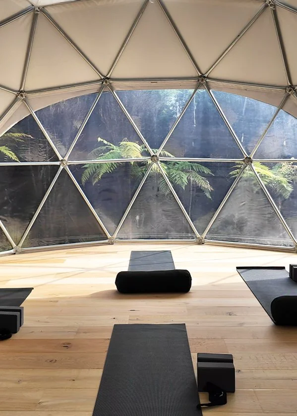Inside the yoga dome at Bluestone Main Estate: mats and bolsters on the timber floor, tree ferns through the walls.