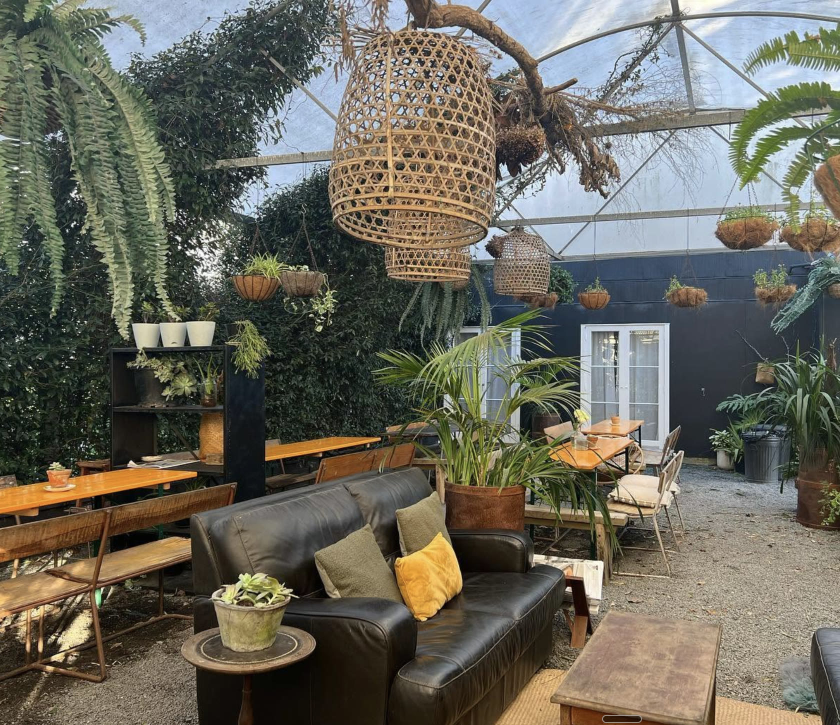 Ravish, Matakana: the glasshouse courtyard, with a leather sofa, long timber tables, ferns, hanging baskets, and rattan lanterns under the clear roof.